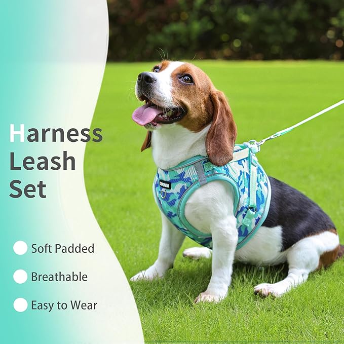 Step in Dog Harness with Leash Set, Adjustable Soft Padded and Breathable Mesh for Medium Sized Dog, Reflective No Pull No Choke Cat Vest Harness, Easy Control Pet Vest, Teal XL