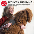 KONG Large Slicker Brush – Removes Loose Hair, Reduces Shedding, Comfortable Non-Slip Grip, Long Metal Pins, for Medium to Large Dogs with Medium to Long Coats, Red/Gray