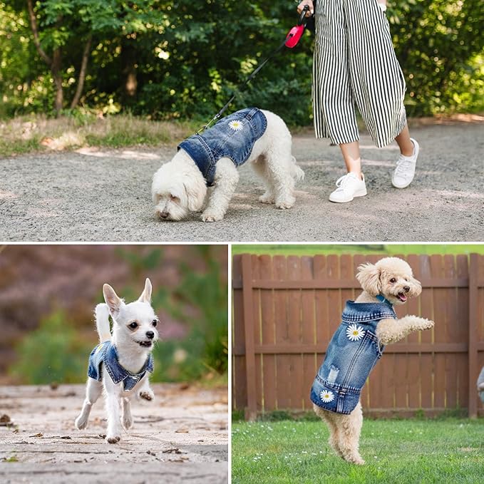 Dog Denim Jacket with Embroidered Daisy, Ripped Vintage Jean Vest for Small Dogs, Pugs, Chihuahuas, Spring Summer Autumn Festival Outfit (L)