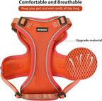 Rttochfy Cat Harness and Leash Set, Adjustable and Reflective Cat Vest, Escape Proof Kitten Harness, Easy to Put on with 3 Buckles for Cats Walking and Traveling (Orange, L)