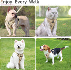 No Pull Dog Harness with Leash Set for Small Sized Dog, Reflective Adjustable No Choke Front Clip Cat Vest Harness with Breathable Mesh, Comfortable Soft Padded Pet Vest, Brown S