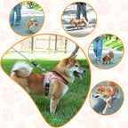 Dog Harness and Leash Set, No Pull Saddle Style Pet Harness, Breathable Mesh Adjustable Reflective Dog Vest for Dogs and Cat Medium Small Harness 2 D-Rings (Orange, M)