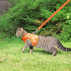 BINGPET Cat Harness with Leash Escape Proof - Fashionable Mesh Cat Dog Walking Harness Leads, Adjustable for Kitties Puppies Small Animals,Orange,M