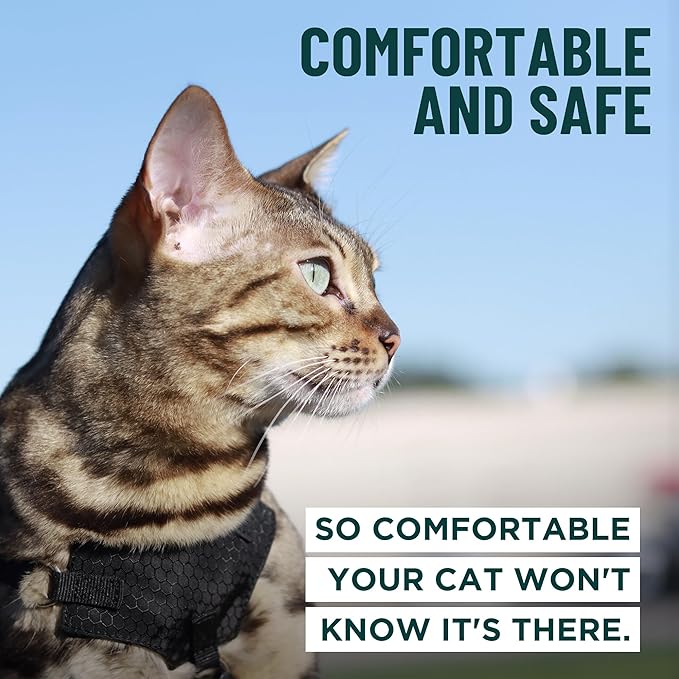 Houdini™ Escape Proof Cat Harness and Leash Set by OutdoorBengal – Black, Medium Cat Harness for Walking