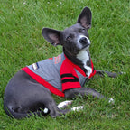 Pets First TBB-4044-MD NFL Tampa Bay Buccaneers Hoodie for Dogs & Cats. | NFL Football Licensed Dog Hoody Tee Shirt, Medium| Sports Hoody T-Shirt for Pets | Licensed Sporty Dog Shirt.