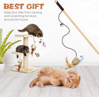 Natural Wood Cat Teaser Wand Toy, 3pcs 16 Inch, Catnip Sticks for Teeth Cleaning, Indoor Cat Exerciser