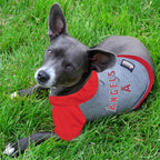 MLB Hoodie Shirt for Dogs & Cats - Los Angeles Angels Dog Hooded T-Shirt, Medium. - MLB Team Color Hoody Vest for Baseball Fans
