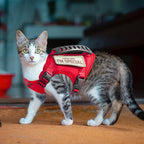 AIWAI Tactical Cat Harness for Walking Escape Proof, Adjustable Pet Vest Harness, Soft Mesh with Control Handle for Large Cat Small Dog, Gift with Patch