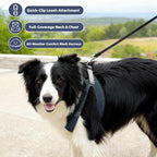 ROYPET Step-in Air Dog Harness, All Weather Mesh Step in Vest Harness for Small and Medidum Dogs and Cats, Adjustable Soft Padded Dog Vest with Easy Control Handle for Dogs Pets (Navy Blue, XS)