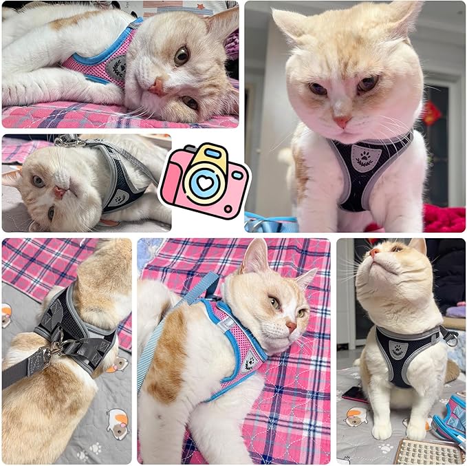 SCENEREAL Cat Harness and Leash Set Escape Proof, Adjustable Soft Air Mesh Kitten Harnesses for Girls Boys Small Medium Big Cats, Reflective Light Travel Pet Walking Vest for Puppy Rabbit, Pink L