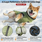 Dog Winter Coat, Warm Puffer Jacket with Fur-Safe Buckle & Leash Hole for Cold Weather, Water-Repellent Snow Vest, Breathable Thermal Apparel for Hiking & Active Dogs (Green, Small)
