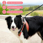 ROYPET Step-in Air Dog Harness, All Weather Mesh Step in Vest Harness for Small and Medidum Dogs and Cats, Adjustable Soft Padded Dog Vest with Easy Control Handle for Dogs Pets (Vermilion, XL)
