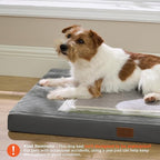 Bedsure ComfyFleece Dog Bed Medium Size Dog - Orthopedic Pet Beds with Removable Washable Cover, NOT Waterproof Egg Crate Foam Puppy Mat, Suitable for Pet Up to 35 lbs, 29"x18"x2.8", NOT for Chewers