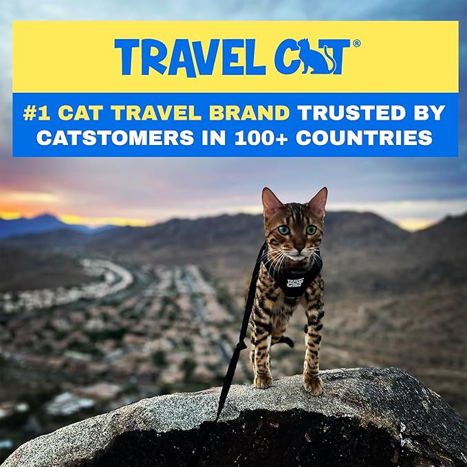 Travel Cat Harness and Leash Set - Adjustable Fit Mesh Cat Harness and Reflective Strap - Comfort Walking Vest for Kitten for Outdoor Walking, Hiking (Small, Black)