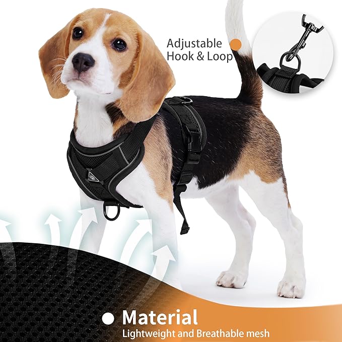 No Pull Dog Harness with Leash Set for Small Sized Dog, Reflective Adjustable No Choke Front Clip Cat Vest Harness with Breathable Mesh, Comfortable Soft Padded Pet Vest, Black L
