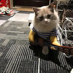 NACOCO Pet Guitar Costume Dog Costumes Cat Halloween Christmas Cosplay Party Funny Outfit Clothes (XL)