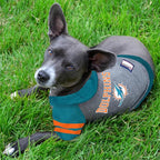 Miami Dolphins Hoodie Tee Shirt