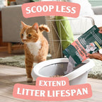 Sprinkle & Sweep Litter Box Deodorizer - Cat Litter Deodorizer Non Toxic and Safe for Kittens - Instantly Eliminates Foul Smells and Urine Odors (1 Bag + Speed Sifter)
