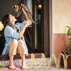 2-Pack Large Cat Tunnel Beds - Indoor & Outdoor,Kitten Collapsible Spring Tunnel Toy with Feather and Bell,Interactive Spring Toys for Cats & Kittens（Yellow and Blue）