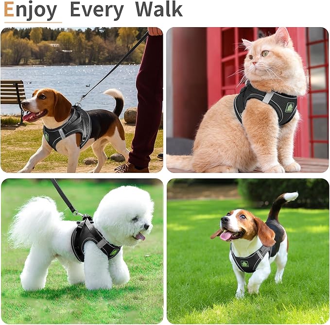 Step in Dog Harness with Leash Set, Adjustable Soft Padded and Breathable Mesh for Small Sized Dog, Reflective No Pull No Choke Cat Vest Harness, Easy Control Pet Vest, Black L
