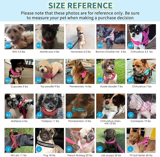 SlowTon No Pull Small Dog Harness and Leash Set, Puppy Soft Vest Harness Neck & Chest Adjustable, Reflective Lightweight Harness & Anti-Twist Pet Lead Combo for Small Medium Dogs (Red, XS)