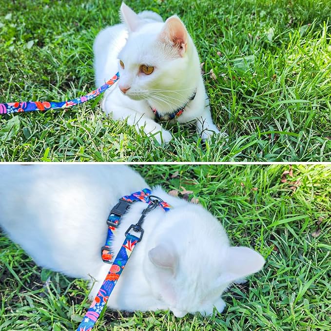SCENEREAL Cat Harness and Leash Set Escape Proof with Airtag Holder, Reflective Pet Harnesses for Walking, Adjustable Kitty Vest Soft Harness Outdoor Indoor, Cute Travel Boys Girls Small Large Cats