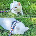 SCENEREAL Cat Harness and Leash Set Escape Proof with Airtag Holder, Reflective Pet Harnesses for Walking, Adjustable Kitty Vest Soft Harness Outdoor Indoor, Cute Travel Boys Girls Small Large Cats