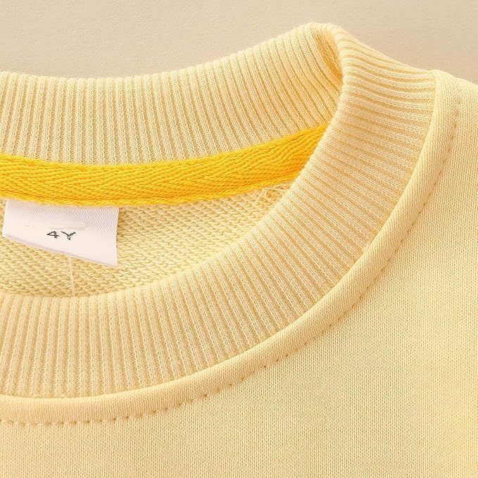 Bumeex Toddler Girl Sweatshirt Clothes Outfit,Cotton Crewneck Christmas Clothing
