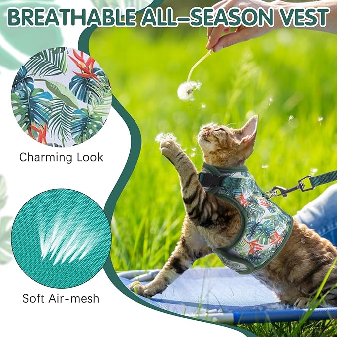 BINGPET Cat Harness and Leash Set Escape Proof for Walking,Step-in Harness with Lightweight Soft Breathable Mesh,Adjustable Easy Control Harness (Emerald Hues, L(Chest:12.5-16.5"))