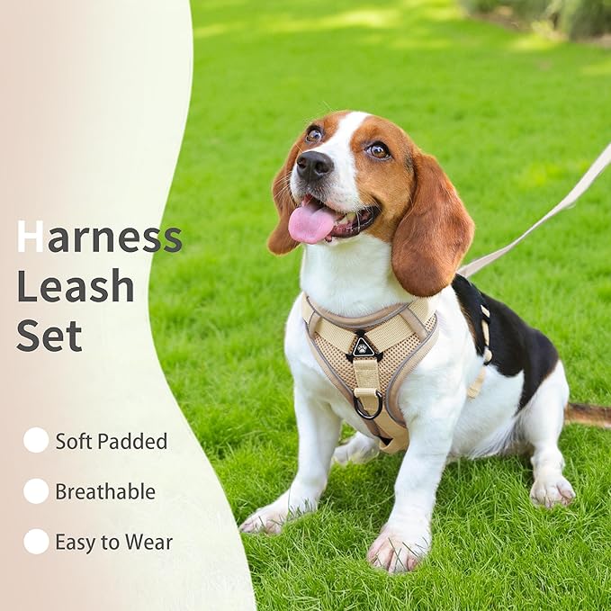 No Pull Dog Harness with Leash Set for Small Sized Dog, Reflective Adjustable No Choke Front Clip Cat Vest Harness with Breathable Mesh, Comfortable Soft Padded Pet Vest, Brown S