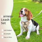 No Pull Dog Harness with Leash Set for Medium Sized Dog, Reflective Adjustable No Choke Front Clip Cat Vest Harness with Breathable Mesh, Comfortable Soft Padded Pet Vest, Brown XL