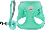 Hipubby Dog Harness and Leash Set, No Pull Soft Mesh Puppy Harness for Small Medium Dogs, Cats - Step in Reflective Breathable Lightweight Vest Harness for Walking, Training - Green, L