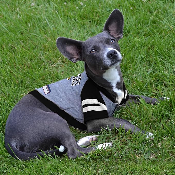 Pets First NFL Jacksonville Jaguars Hoodie for Dogs & Cats. | NFL Football Licensed Dog Hoody Tee Shirt, X-Small| Sports Hoody T-Shirt for Pets | Licensed Sporty Dog Shirt