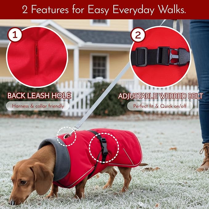 Waterproof & Windproof Dachshund Jackets with Adjustable Bands, Thick Weiner Vest Clothes for Large Sausage Dog, Weenie Winter Puffer Coat, Outdoor Snowsuit for Dachshunds, Small Medium Dog(Red, L)