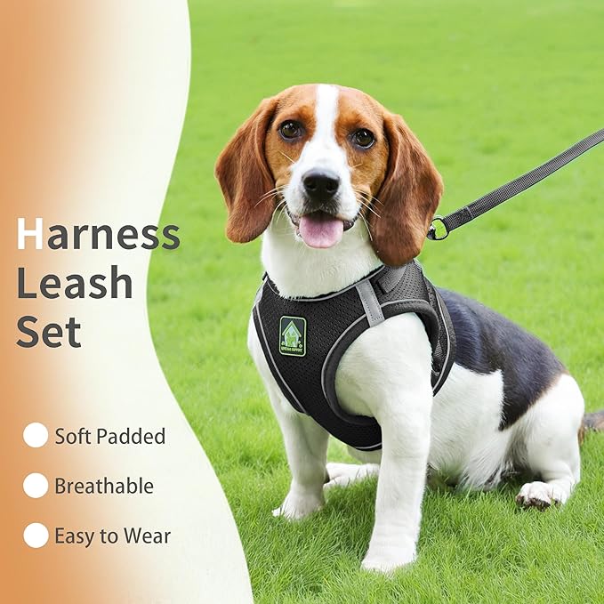 Step in Dog Harness with Leash Set, Adjustable Soft Padded and Breathable Mesh for Small Sized Dog, Reflective No Pull No Choke Cat Vest Harness, Easy Control Pet Vest, Black L