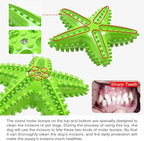 Chew Toy for Dog Toothbrush Stick Dog Toys for Aggressive Chewers Interactive Toys Treats Tough Toy to Keep Them Busy Chew Toys for Small Dogs (Star Toy - Green)