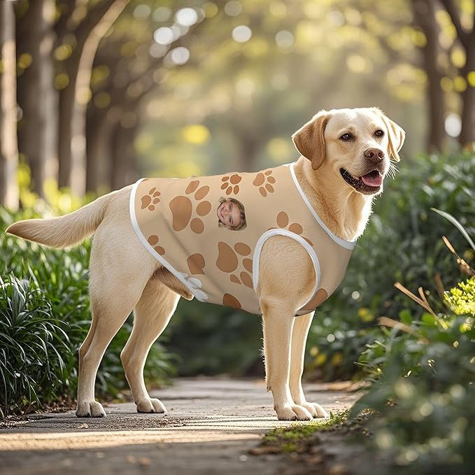 Personalized Matching Dog and Owner Clothes Separately Sold, Custom Face Nightgown for Women Dogs