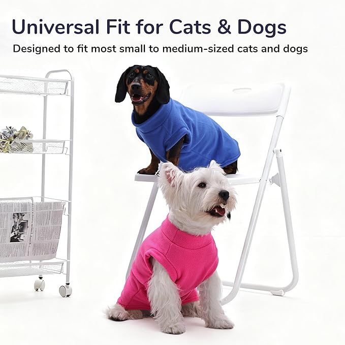 PUMYPOREITY Fleece Sphynx Cat Clothes, Warm Thick Cat Sweater, Soft Winter Coat for Hairless Cats, Cold Weather Pet Sweater for Dogs and Cats, Purple, L