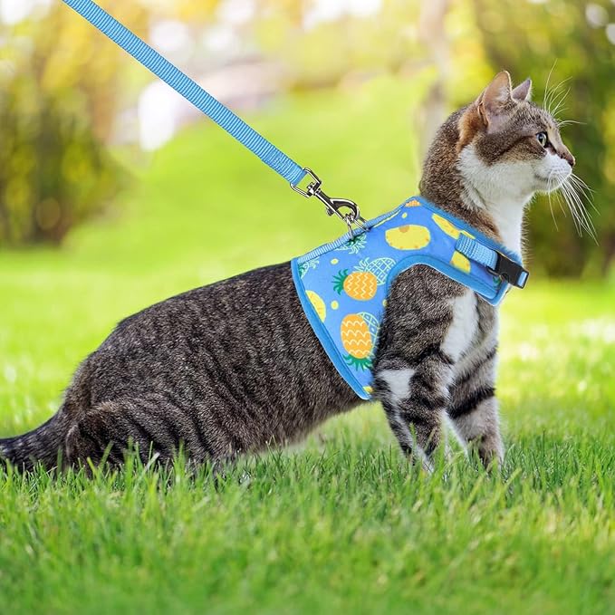 PUPTECK Soft Mesh Cat Vest Harness and Leash Set Puppy Padded Pet Harnesses Escape Proof for Cats Small Dogs Rabbits Bunny