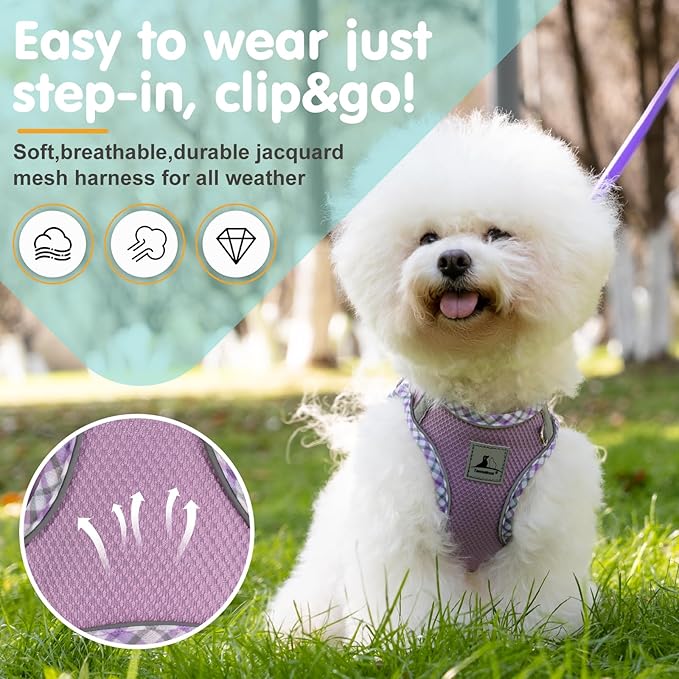 Dog Harness and Leash Set - No Pull Soft Breathable Small Dog Harness, Adjustable Reflective Step in Vest for Puppy, Kitten, Cats
