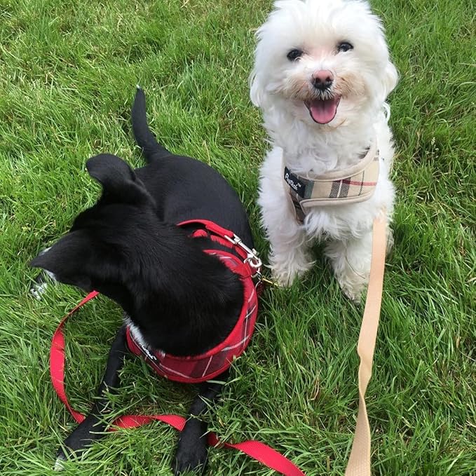 PUPTECK Soft Mesh Dog Harness and Leash Set Pet Puppy Cat Comfort Padded Vest No Pull Harnesses, Red, M
