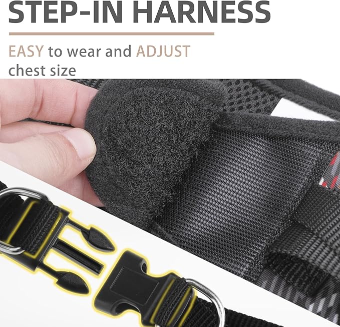 PUPTECK Dog Harness and Leash Set for Small Medium Dogs No Pull Step-in Soft Mesh Puppy Cat Vest Harnesses Reflective at Night, Plaid Pattern Black S