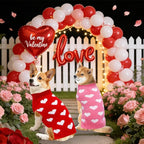 2 Pack Valentines Dog Sweater, Knit Pet Small Dog Sweater Holiday Valentine’s Day Outfit Clothes for Small Medium Large Dogs Pets (Red & Pink, X-Large)