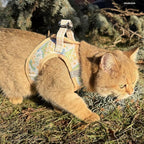 Lucy & Co. Sunshine and Daffodils Step-in Cat Harness and Leash Set Bundle, Reflective, Breathable & Adjustable Harness for Cats, Kittens & Small Dogs, Lightweight & Secure - X-Small