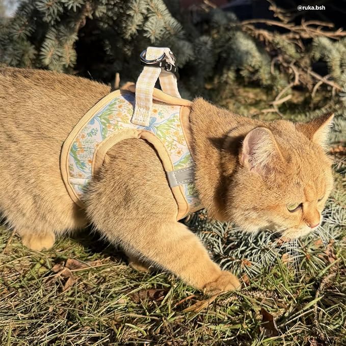 Lucy & Co. Sunshine and Daffodils Step-in Cat Harness and Leash Set Bundle, Reflective, Breathable & Adjustable Harness for Cats, Kittens & Small Dogs, Lightweight & Secure - X-Small
