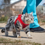 PetiFine Extra Small Step in Dog Harness and Leash Set, Cat Harness and Leash Escape Proof, All Weather Mesh Reflective, Step-in Air Vest Harnesses for Puppy(XXXS, Red)