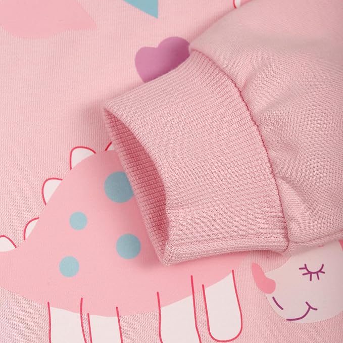 RETSUGO Toddler Baby Girls Sweatshirts Casual Pullover Crewneck Winter Long Sleeve Tops Shirts Clothes 3T-8T