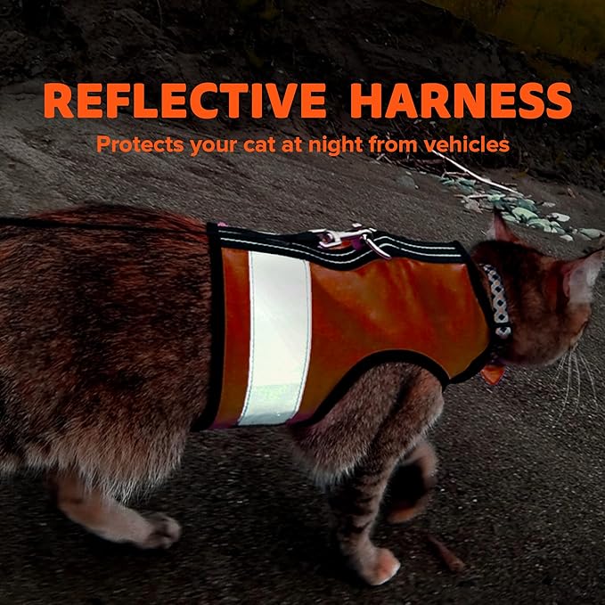 Kitty Holster Reflective Cat Harness – High-Visibility Cat Harness for Travel, Day and Night Walking - Soft Cotton Cat Accessories, Breathable, Secure & Washable, Made in USA-Outrageous Orange, M to L