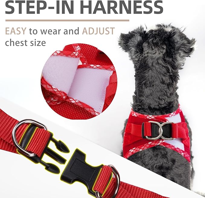 PUPTECK Dog Harness and Leash Set for Small Medium Dogs No Pull Step-in Soft Mesh Puppy Cat Vest Harnesses Reflective at Night, Red, L