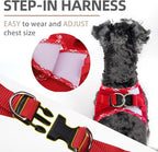 PUPTECK Dog Harness and Leash Set for Small Medium Dogs No Pull Step-in Soft Mesh Puppy Cat Vest Harnesses Reflective at Night, Red, M